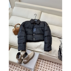 Louis Vuitton Down Jackets